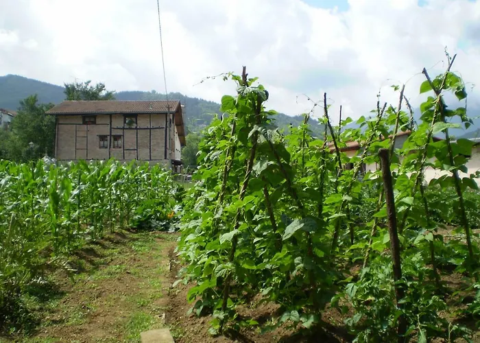 Agroturismo Ondarre Segura képek